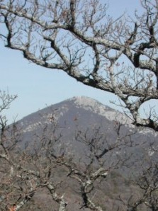 Le Mont Caume
