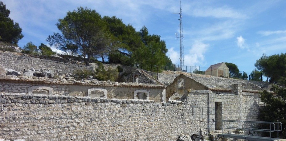 Fort du gros cerveau